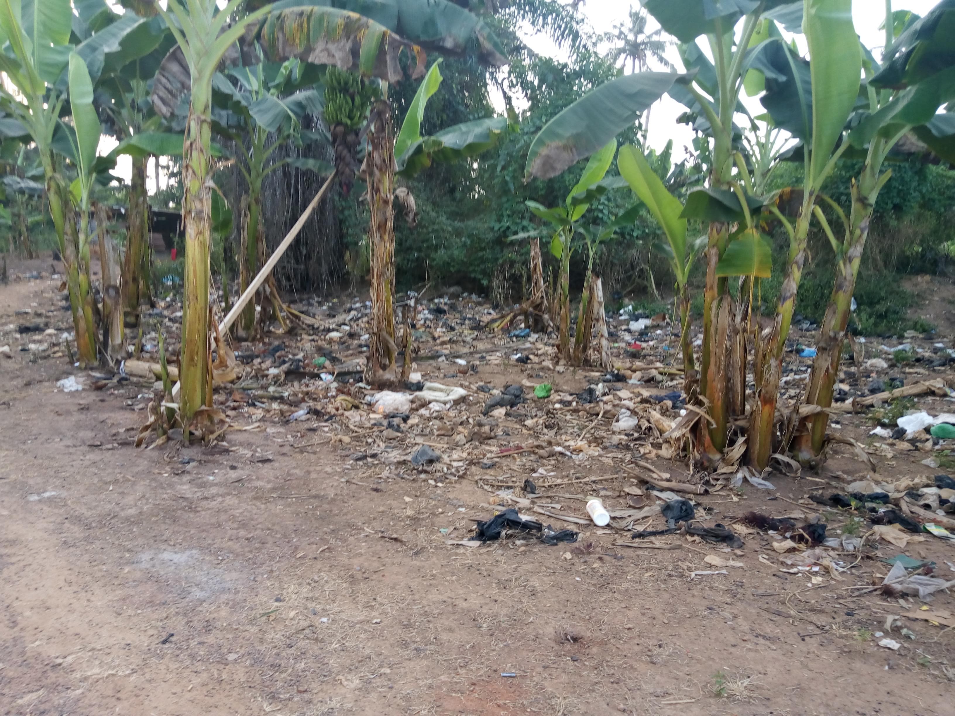 Community sanitation exercise — DansoKrom