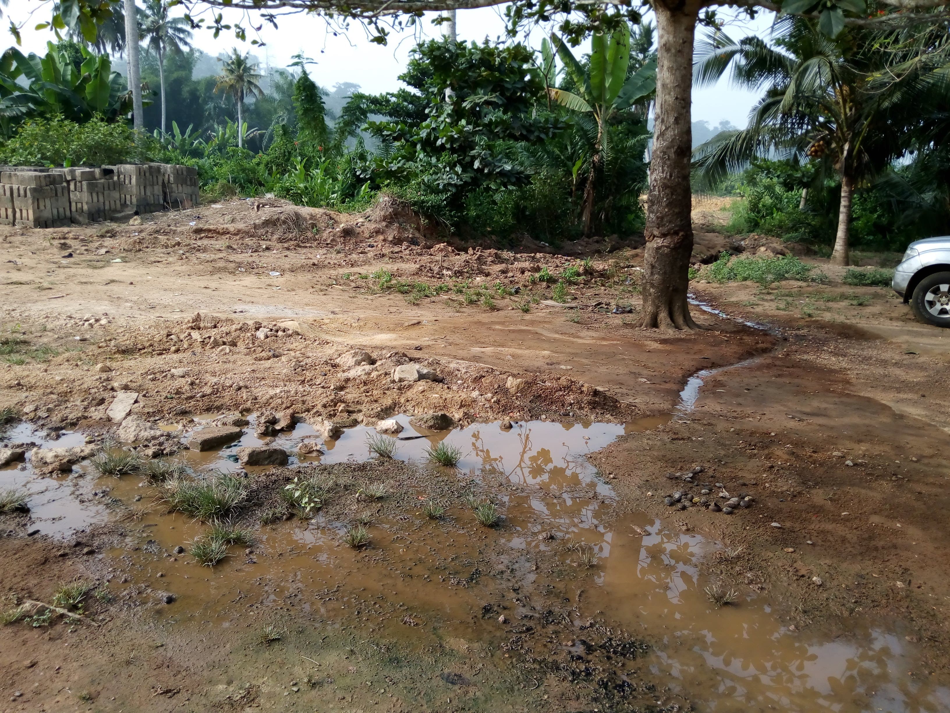 Sanitation group — Surano B