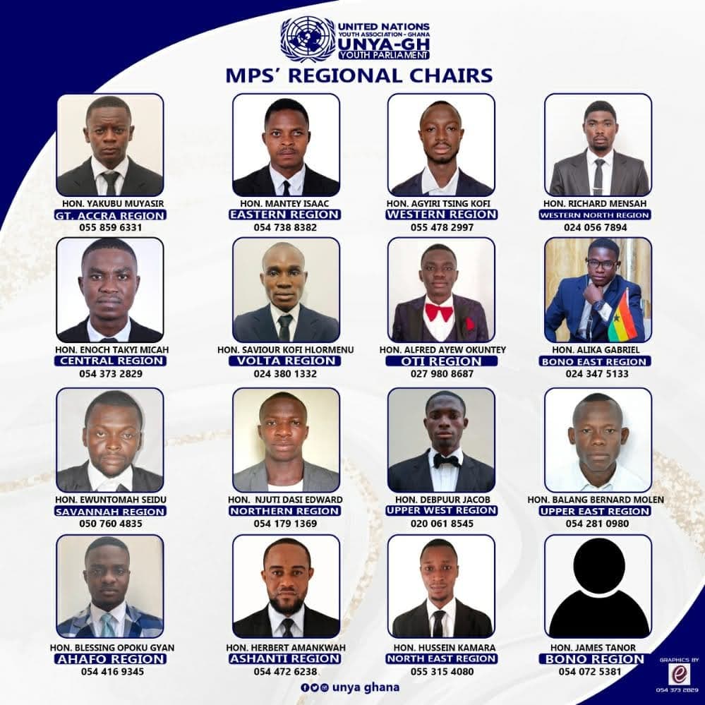 UNYA-Ghana Parliamentary engagement session